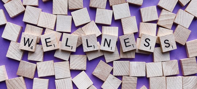 Licensed Massage Therapist - Maplewood, NJ - Essex County Licensed Massage Therapist - Maplewood, NJ - Essex County